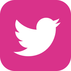 iconmonstr-twitter-3-240
